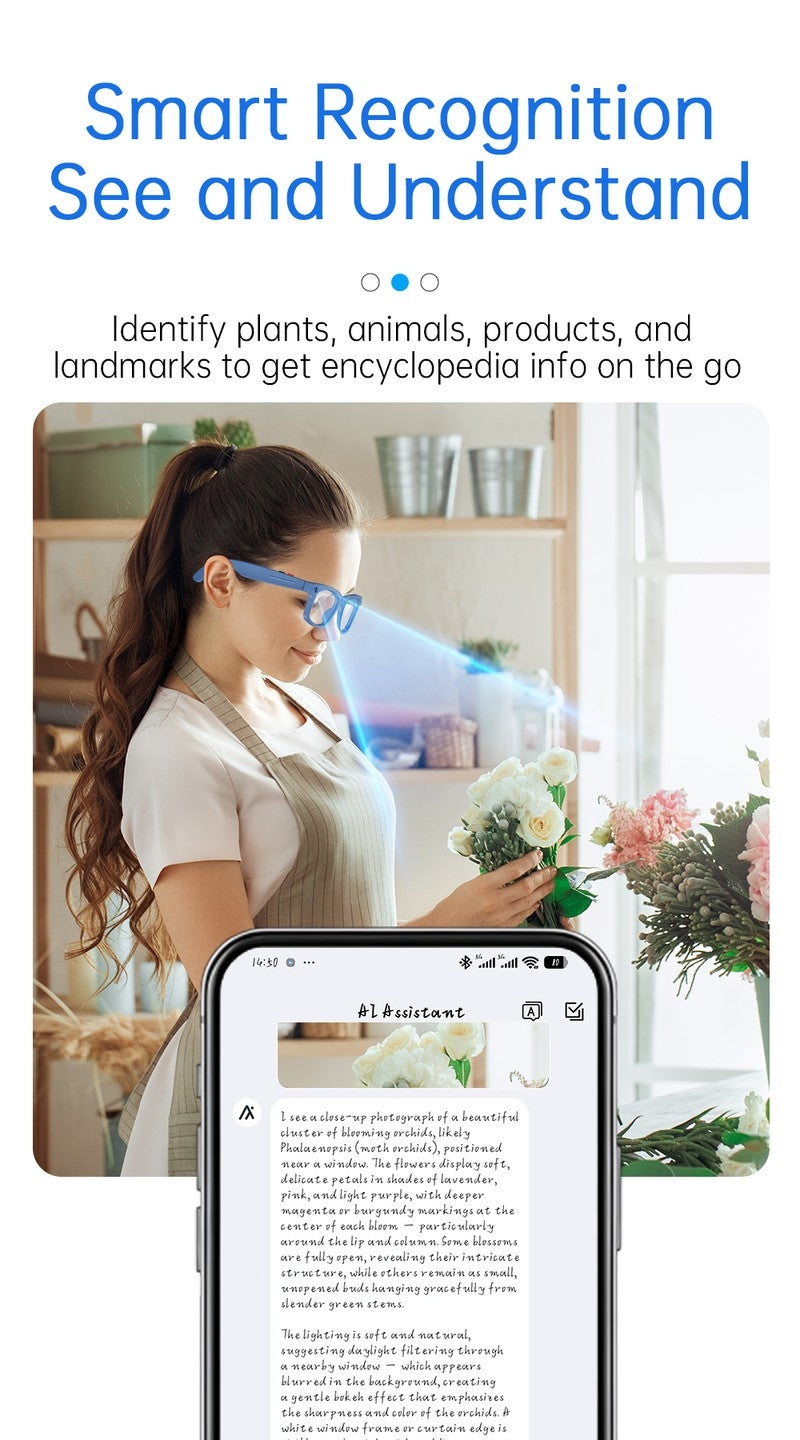 S2 Classic Square Smart Shooting Sunglasses, Hands-Free Video Record Bluetooth Audio AI Glasses