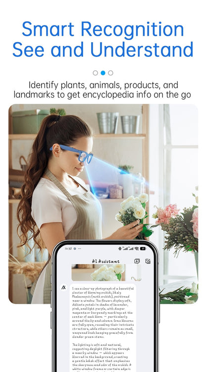S2 Shooting Sunglasses Bluetooth Audio AI Glasses